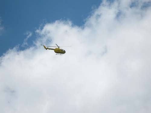 newforestshow30.5.10chrissie 030