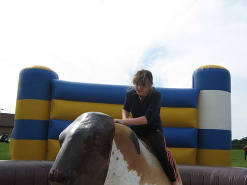 newforestshow30.5.10chrissie 113