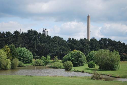 newforestshow30.5.10manky 011