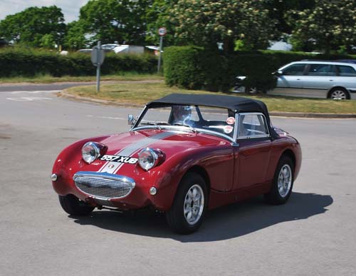 newforestshow30.5.10manky 090