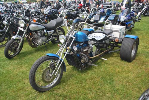 newforestshow30.5.10manky 165