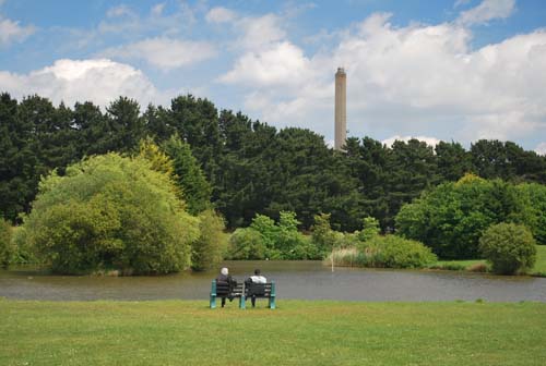 newforestshow30.5.10manky 171