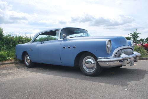 newforestshow30.5.10manky 380