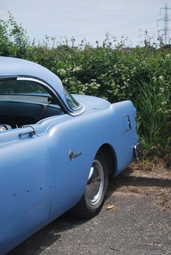 newforestshow30.5.10manky 399