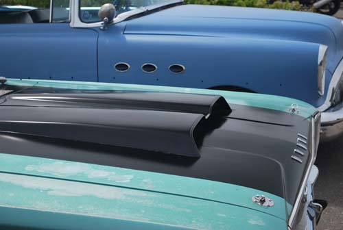 newforestshow30.5.10manky 439