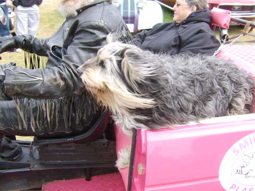 hayling16.5.10rick 069