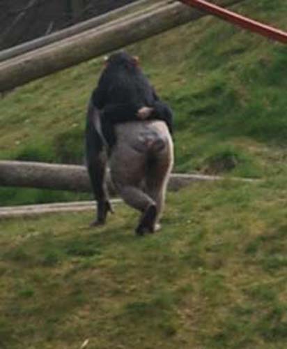 monkeyworld25.4.10 077