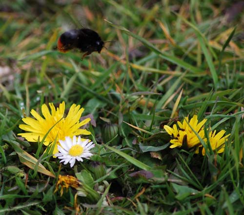 monkeyworld25.4.10 300