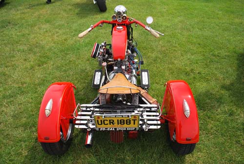 newforestshow30.5.10manky 421